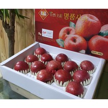 씨에프 아사삭 충주 아침사과 선물용 10kg, 10KG (42~45과 소과)