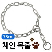 체인 목줄(75cm) 중대형견 초크체인 쇠목줄 개줄 애견