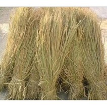 농가 새로운 밀짚 장식 맞춤형 온실 단열 커튼 빈티지 천연 건조 매트 기타부자재용품, 보통 빨대 50 파운드