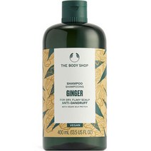 더바디샵 진저 안티 댄드러프 샴푸, 1개, 400ml