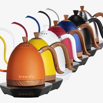 브뤼스타 아티산 구스넥 온도조절 전기드립포트 - 600ml, 네델란드 오렌지