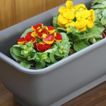 텃밭화분베란다옥상테라스텃밭45cm 대형 플틱, 벤타샵옐로우