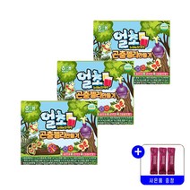 해태 NEW 얼초 얼려먹는 곤충 젤리만들기 20g 묶음행사+사은품증정, 3개