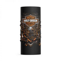 할리데이비슨 바라클라바 마스크 머플러 워머 전면 몬스터, 22