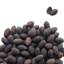 동의한재 국산 햇 연자육 연자 연꽃씨 연밥 300g, 1개