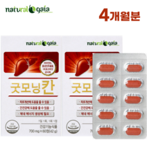 가이아 굿모닝 칸 60정 스트레스 피로 개선 간건강 베타글루칸 홍경천 추출물 에너지 생성 직장인 영양제, 2박스-4개월