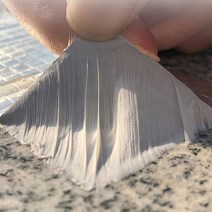 강력 접착 바닥 배관 지붕 보수 누수 방수 테이프, 15cmX5m, 1개