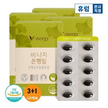 [유통기한23년7월16일]비너지 은행잎 3+1박스 은행잎추출물 은행잎효능 은행추출물, 없음