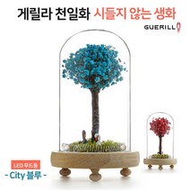 [꽃선물] [게릴라 천일화] 프리저브드 플라워( 블루 ) 시들지않는생화/드라이플라워 안개꽃 무드등/집들이선물/ 생일선물 [행복시작]