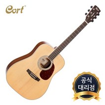 콜트 Cort EARTH100 어스100, earth100무광