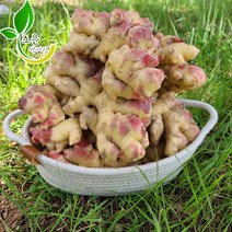 22년 국내산 햇 생강 생강 (특품), 1박스, 햇생강-5kg