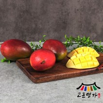 고군명가 명절 선물세트 프리미엄 애플망고 6과 2.4kg 대과