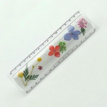 오렌지몰 누름꽃자만들기 15cm 한국 장편소설, 해당상품, 해당상품
