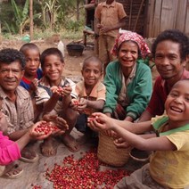 동티모르 커피 티모르테이블 에르메라 그린, 100g, 핸드드립