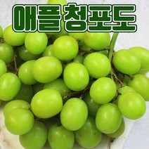 오톰크리스피 애플청포도 씨없는포도, 3kg내외