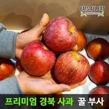 이츠올릿 경북 안동 부사 꿀 사과 5kg 10kg 청송 문경 장수 밀양 얼음골 못난이, 정품／부사 중과(35-38과) 10kg