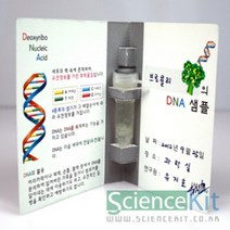 BK(SC) DNA추출1 식물세포(4인용), 본상품