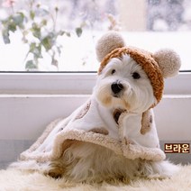 인기 있는 강아지입는담요 인기 순위 TOP50