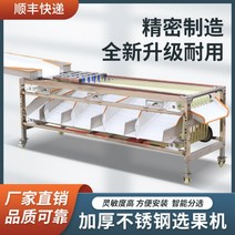 감자 선별기 감귤 복숭아 자동 분류기계, 기본형