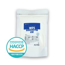 WPI 분리유청단백질 분말 500g HACCP 인증제품, 3개