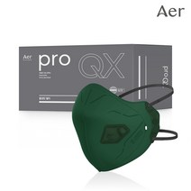 아에르 Pro QX300S (프로 큐엑스) 특급 방진마스크 1BOX (10개입) / 냄새제거용 활성탄 첨가/산업용 공사현장 분진 석면 해체 작업용, 아에르 PRO QX300S 특급 방진 (그린), 1개, 10개입