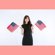 국제행사 응원 소형 미국국기 성조기 깃발 거치용 교육용 차량용 운동경기, 1개