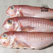 [바다성찬]제주 통 옥돔 450g34미