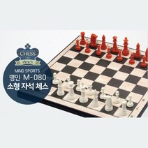 6세 어디서든 한판 미니 자석 체스 25cm 창의력 추론향상 집중력향상 취미