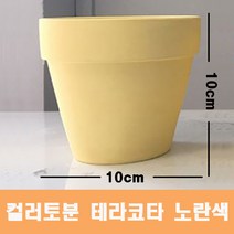 컬러 토분(노란색) 화분 미니토분 다육이 테라코타[지름10cmX높이10cm] 수입도매