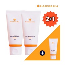 블루밍셀 병풀추출물 피부과 점뺀후 레이저후 시카 재생크림 40g 2+1, 단품, 단품