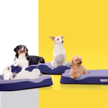 젠틀리머 펫베드 방수되는 세척가능 고양이 강아지매트 메모리폼침대 기절댕냥쿠션 물로씻는 매트 식빵매트 강아지 배변 미국 중국 한국 발명특허