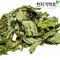 (롯데택배발송) 국산 배초향 곽향 600g 방앗잎, 1개