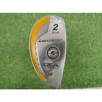 프라이스골프 아담스골프 IDEA PRO 2번 18도 R 유틸리티, 단일 제품, 단일 제품