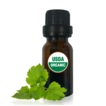 [루바마바이오랩] 유기농 패츌리(광곽향) 에센셜 아로마 오일 100% 10ml, 1개