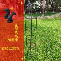 수목 고추말뚝 고추 지지대 종류 철밴드 작물 포도나무 토마토 조경 대나무지주대 대나무, 중간 정도, 블랙유러피안다람쥐5단170cm+, 화이트 유러피안 버드 4단 145cm+