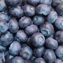 신선한 블루베리 1kg 중, 없음