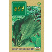 돌산갓씨앗 6000립, 돌산갓 6000립