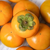 산지직송 창원단감 햇 단감 3/5kg, 02_ 창원단감 3kg (18-19과)