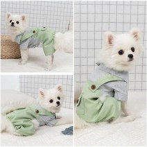 그린 강아지멜빵 스트라이프 올인원 애견의류 닥스훈트옷 토이푸들옷 오버롤 외출복 겨울옷 팬츠 내복, 이백프로 쿠팡 XXL