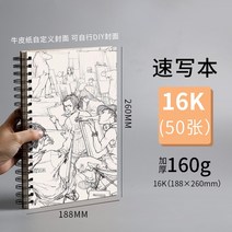 스프링노트 스케치북 종이책 그림을그리다 A4 8K 포토 페인팅 채연화 16K 수채꽃 그림책 학생용 8열다 1733469862, 스케치북 16K -50 장 8즈 연필