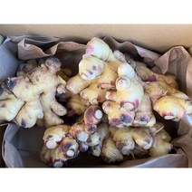영주 햇생강 생강시세 국산생강 황토생강 5kg 생강효능, 단품