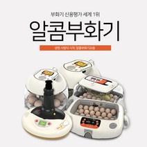 알콤부화기모음 닭 오리 조류 부화기 메추리 꿩 전자동시스템 전란 검란기능 탑재, 미니03
