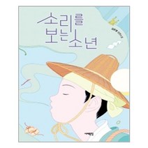 서해문집 소리를 보는 소년(서해문집 청소년문학 18) (마스크제공), 단품, 단품
