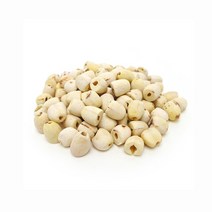 휴비안 연자육 600g, 1개