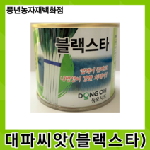 블랙스타 대파 80g/엽색이 진하고 내병성이 강한 외대파 씨앗