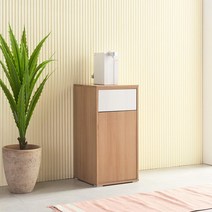 데코라인 블라이드 1칸 더스트박스 분리수거함 수납장, 오크