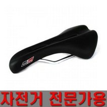 엔드존 전립 안장
