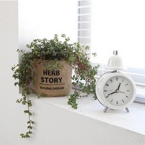 [러블리원] 쥬트 화분커버 (2style/2color), 사각, 그린-가든 플라워