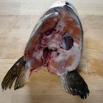 노르웨이산 신선 연어 머리 /구이 조림 매운탕, 연어머리6개
