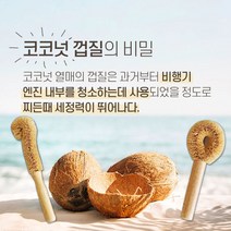 코코도넛 브러쉬 와플팬 세척솔 제로웨이스트 수세미, 데일리 도넛브러쉬